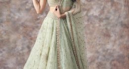 Sarees vs. Lehengas: Which Traditional Outfit to Choose for Your Next Party